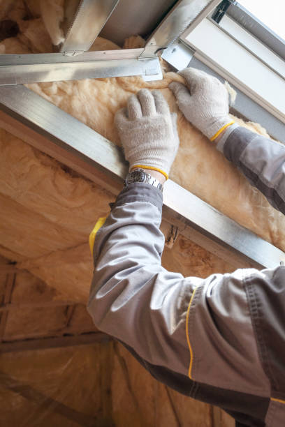 Best Eco-Friendly Insulation in Heber, UT