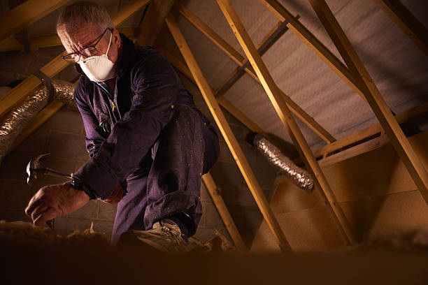Best Insulation Maintenance and Repair in Heber, UT