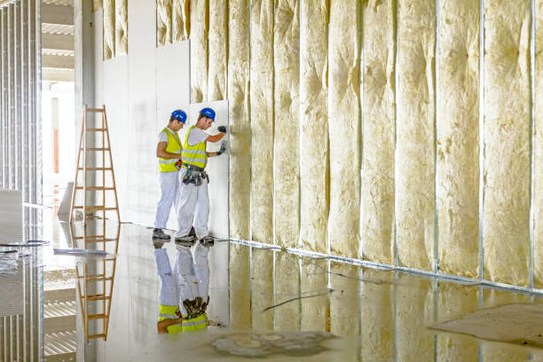 Professional Insulation Contractor in Heber, UT